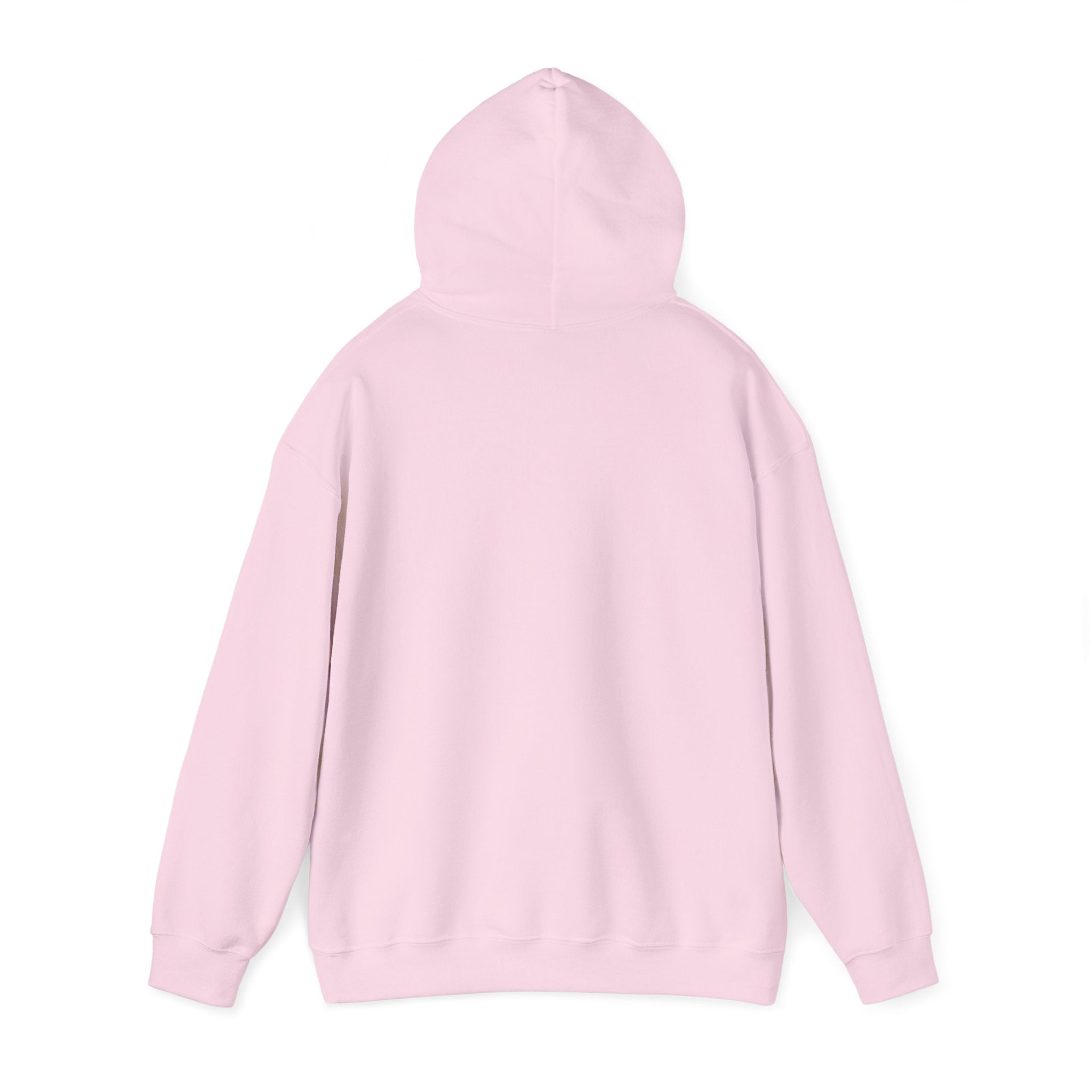 Make Imports Pay Again Hoodie (Unisex Fit) - Donald Trump Store Online